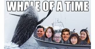 Whale of a Time team